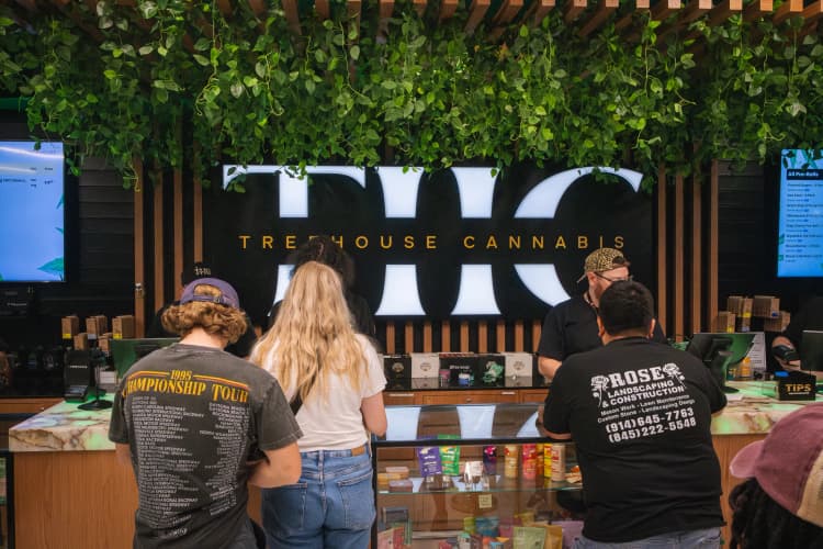 Knowledgeable budtender at Treehouse Cannabis