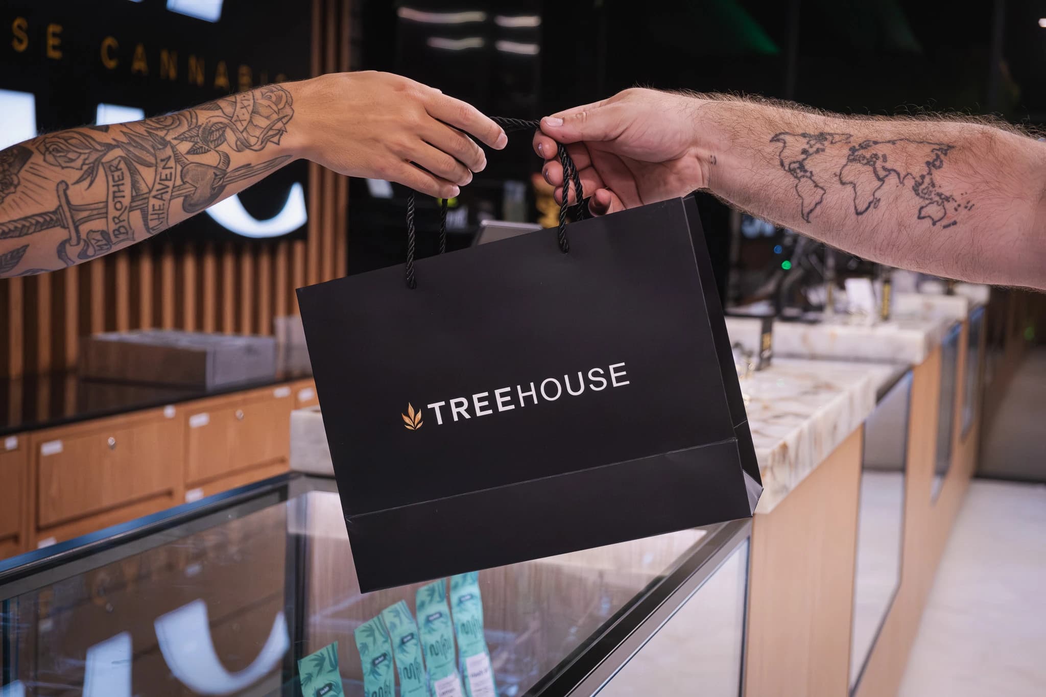Treehouse Team