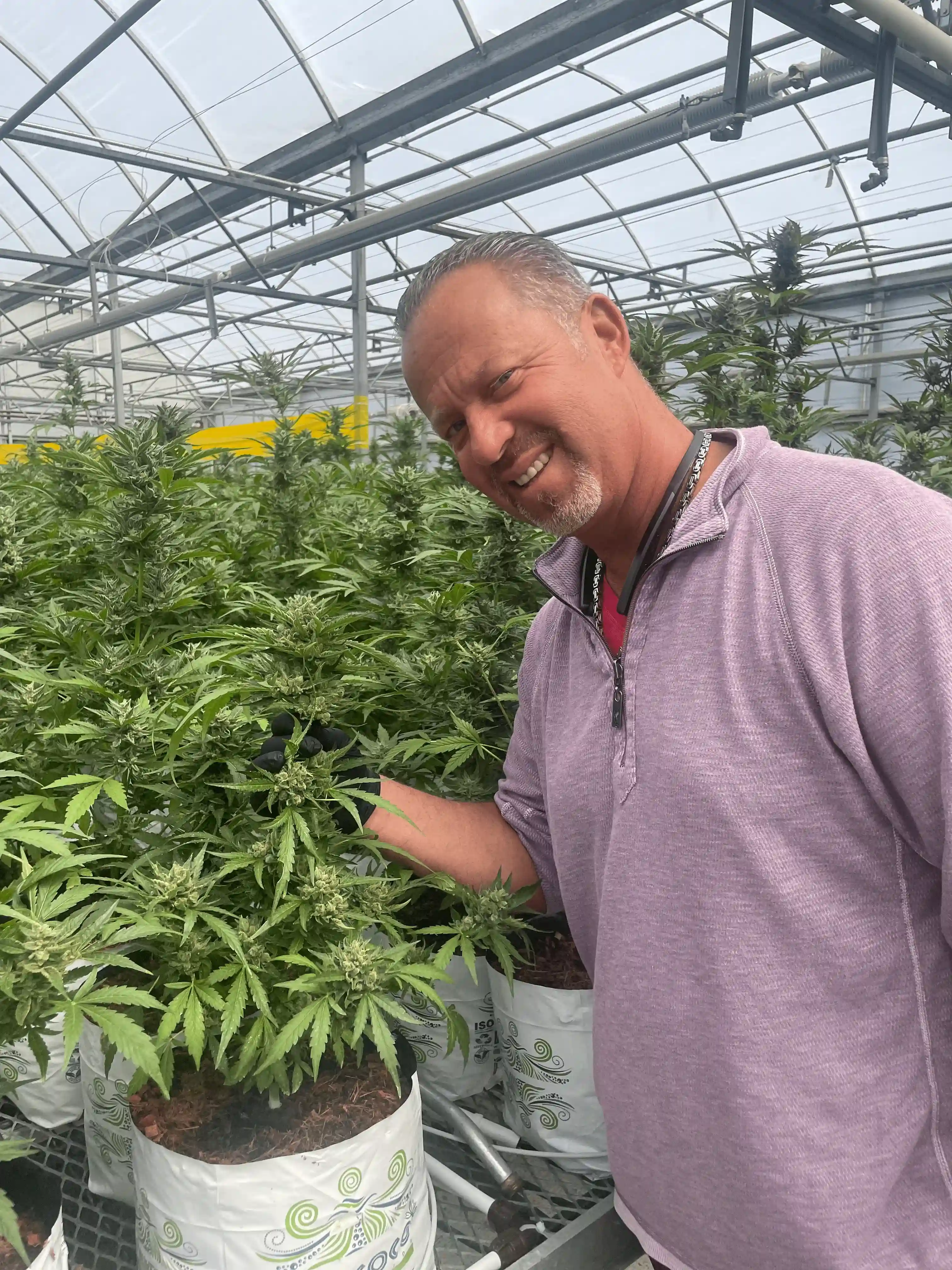 Treehouse Cannabis founder in a cannabis greenhouse