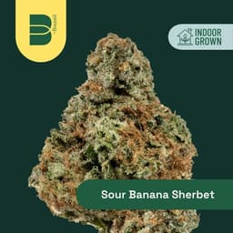Sour Banana Sherbert | Flower | 3.5g