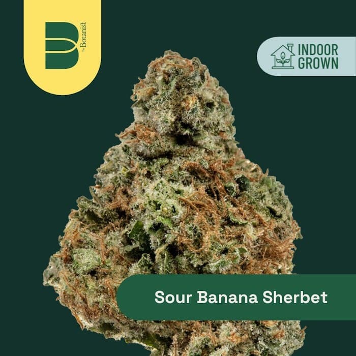 product image for Sour Banana Sherbert Flower 3.5g