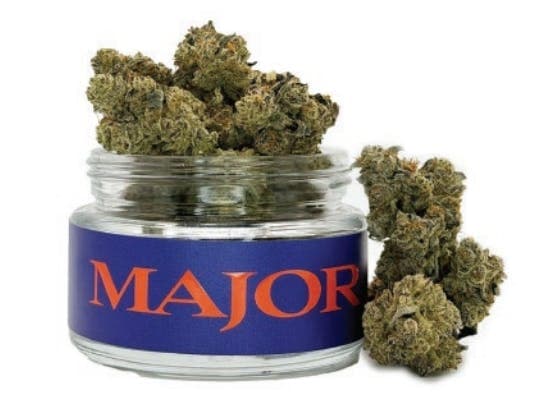 Applescotti • Flower • 3.5g - Major | Treehouse Cannabis