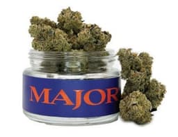 Applescotti | Flower | 3.5g