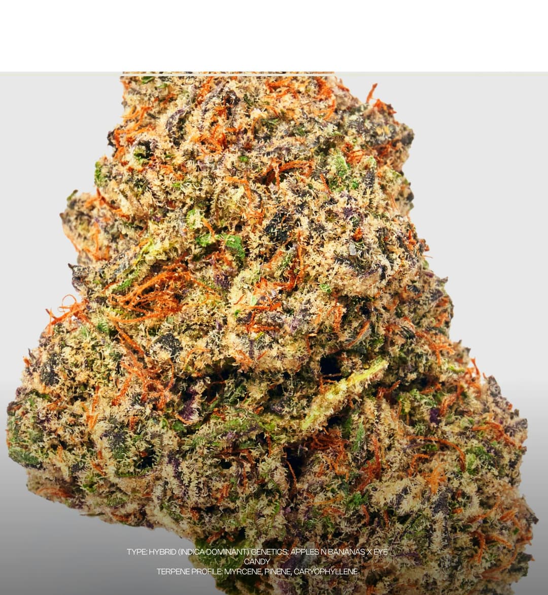 Blue Lobster • Flower • 3.5g - Dada Exotics | Treehouse Cannabis