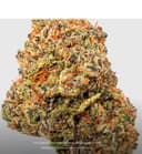 Blue Lobster | Flower | 3.5g