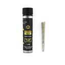 Mango Haze • Infused Pre-Roll • 1.1g