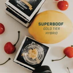 Superboof | Gold Tier Live Rosin Concentrate | 1g