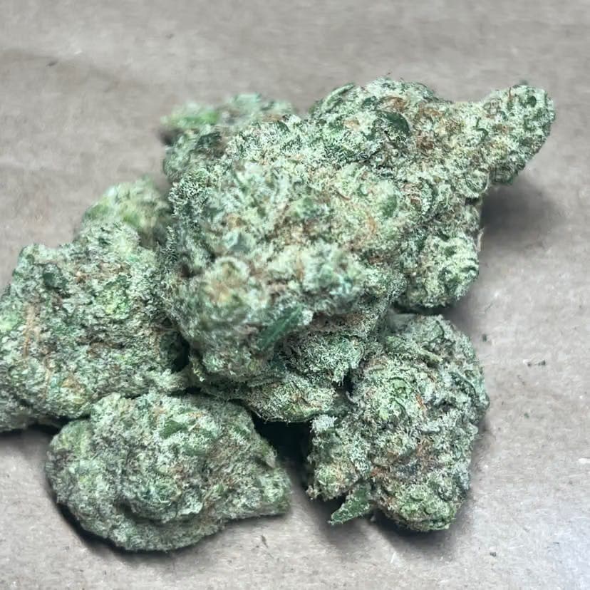 Blue Dream • Flower • 3.5G - Pacha | Treehouse Cannabis