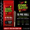 Blueberry Gelato | Pre- Roll | 1g