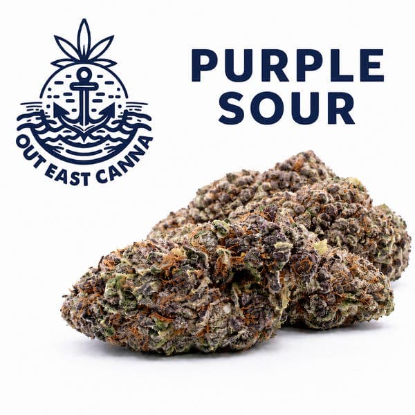 Purple Sour • Flower • 3.5g - Out East Canna | Treehouse Cannabis