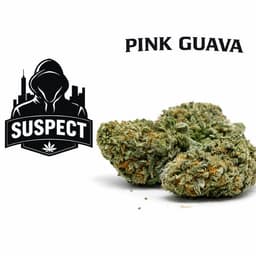 Pink Guava | Flower | 14g