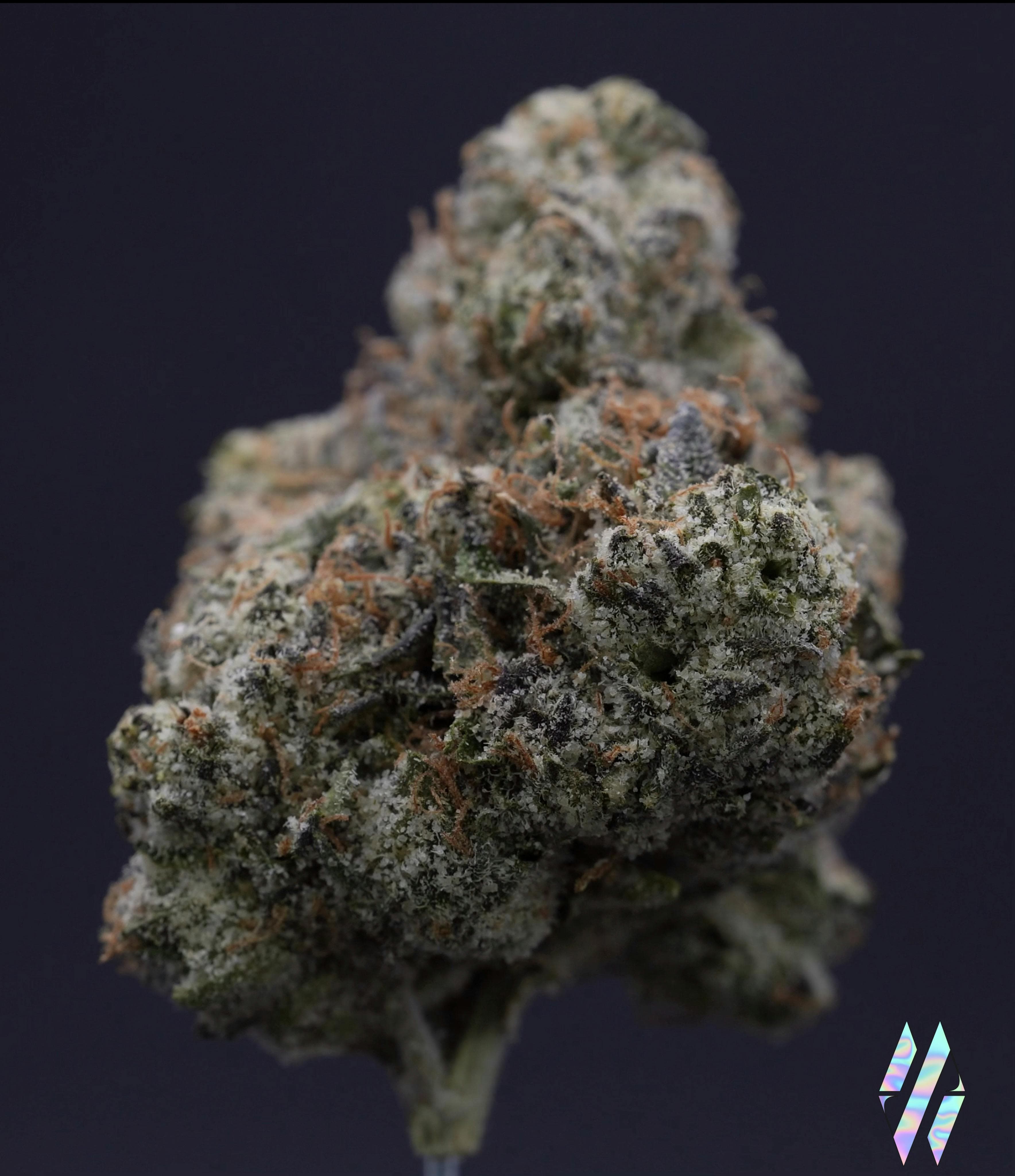 Nino Brown Flower 3.5Gg - Milkweed