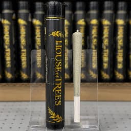 Designer Runtz | House of Trees | Pre-roll | 1g