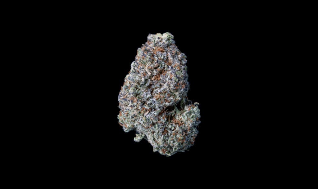 Blueberry Dawg Infused Pre-Rolls 2 pack 1g - Flower House