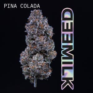 product image for Pina Colada Flower 3.5g