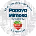 Papaya Mimosa | Live Rosin Concentrate | 1g