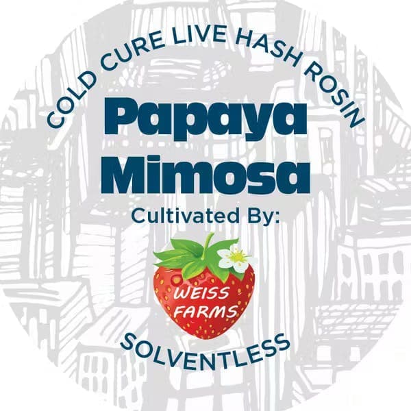product image for Papaya Mimosa Live Rosin Concentrate 1g
