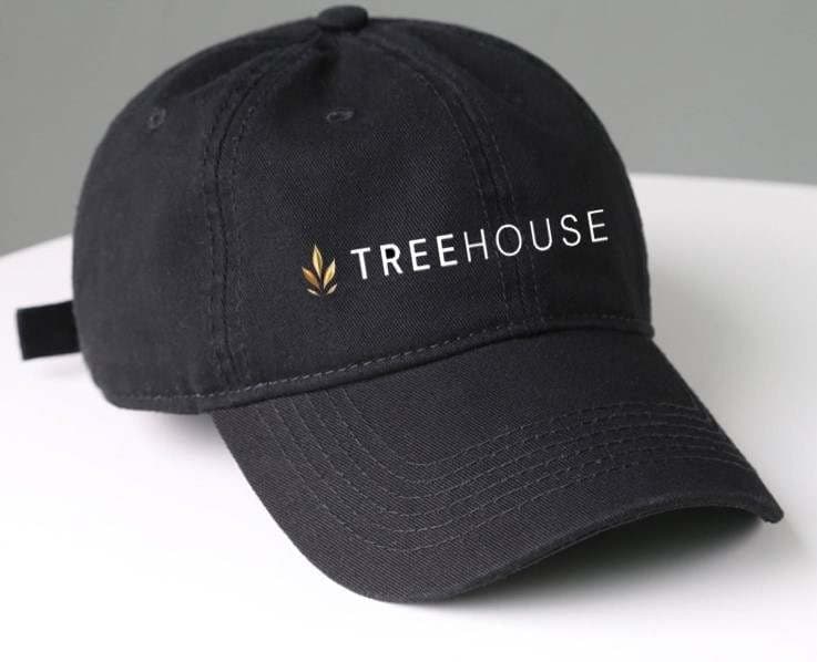 product image for Treehouse Dad Hat