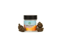 Breakfast of Champions - Standard - 3.5g