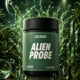 Alien Probe | Flower | 3.5g