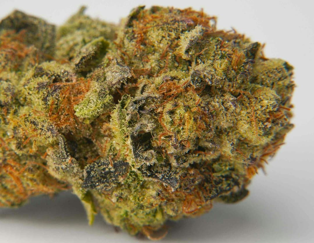 Garlic Sauce • Dime Bag • .7g - House of Sacci | Treehouse Cannabis