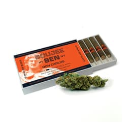 Don Carlos | 10 pack Palm Leaf Kief Caps| Blunts | 5G