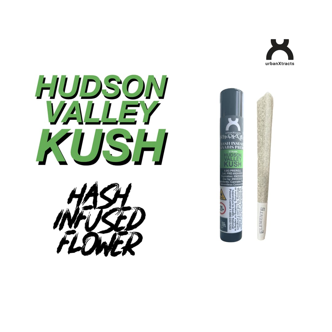 Hudson Valley Kush • Hash Infused Pre-Roll • 1.2g - urbanXtracts | Treehouse Cannabis