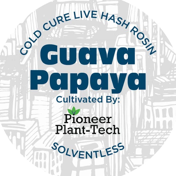 Guava Papaya • Live Rosin Concentrate • 1g - Nyce | Treehouse Cannabis