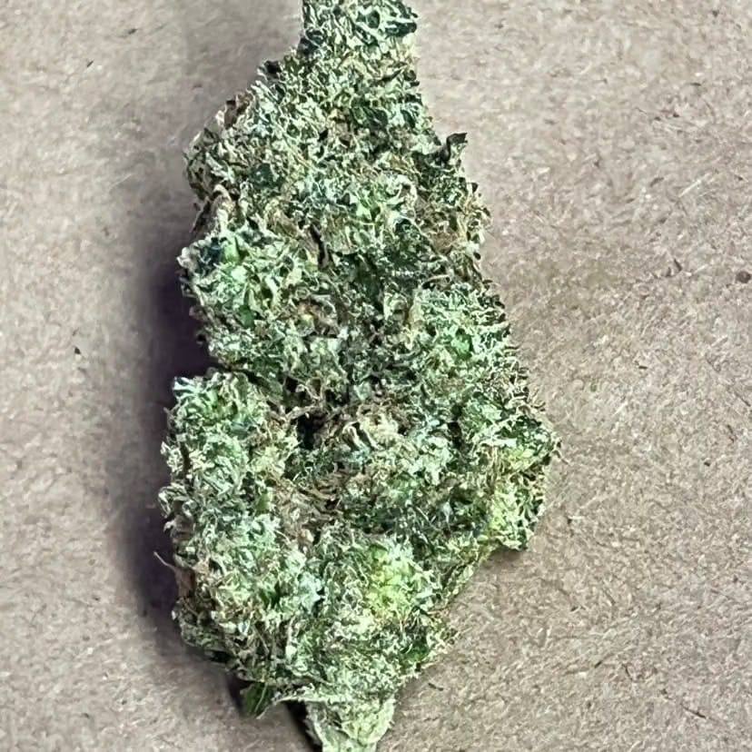 Busshwick Burger Flower 3.5G - Pacha