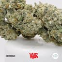 White Apple Runtz • Flower | 3.5g