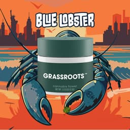 Blue Lobster Whole Flower 3.5g