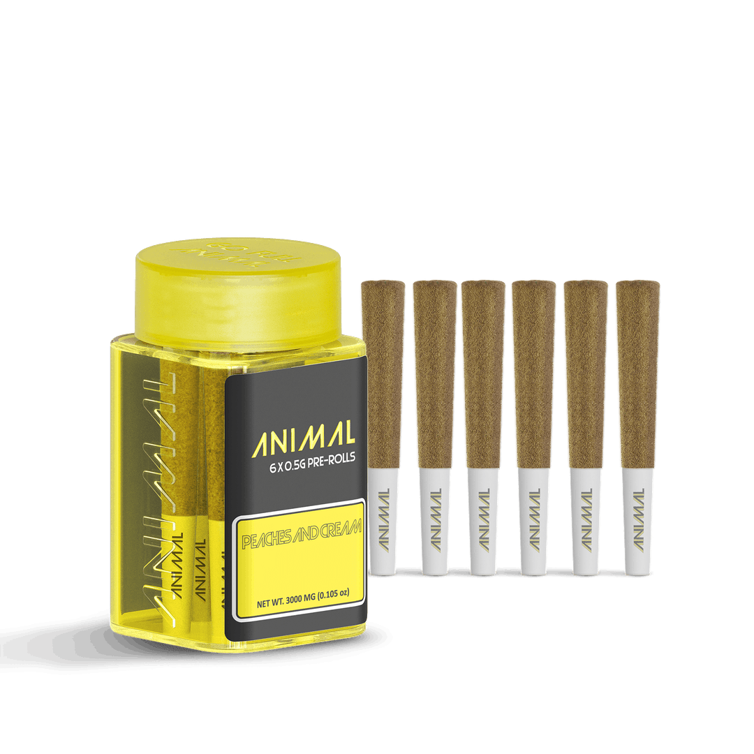 Peaches & Cream • Infused Pre-Rolls • 6 Pack • 3g - Animal | Treehouse Cannabis
