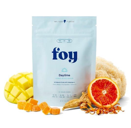 product image for Daytime Mango Bloog Orange Chews 1:1:1 THC/CBG/CBD 20 Pack 100mg