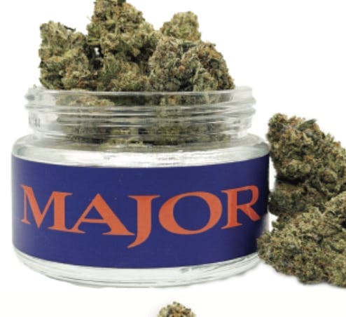 Blueberry Thinmint • Flower • 3.5g - Major | Treehouse Cannabis