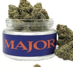 Blueberry Thinmint | Flower | 3.5g