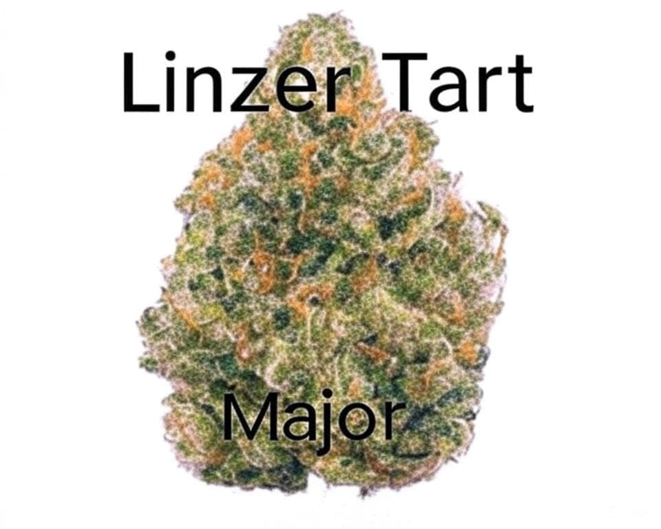 product image for Linzer Tart Flower 3.5g
