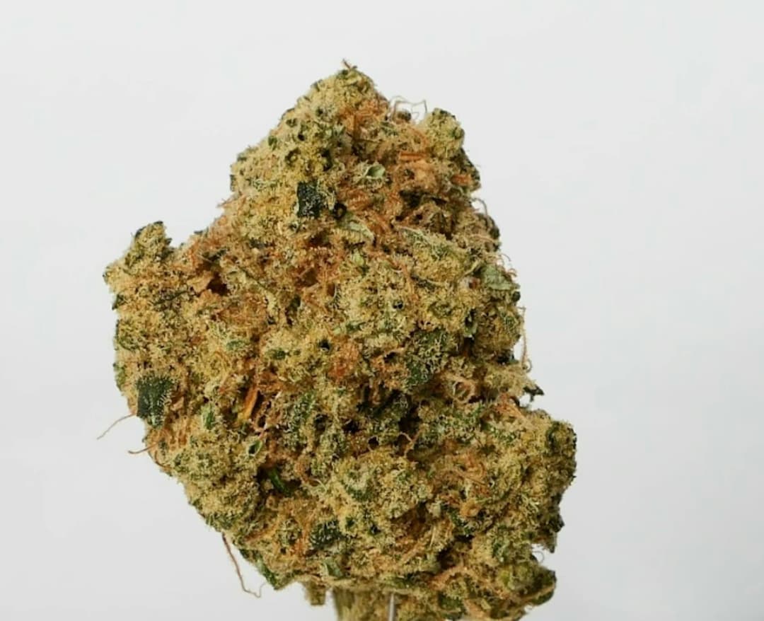 Novarine • Flower • 28g - Grocery | Treehouse Cannabis