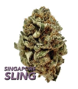 Singapore Sling | Flower | 3.5g