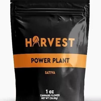 Power Plant • Harvest • Flower -  | Treehouse Cannabis