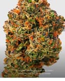 Birthday Cake | Flower | 3.5g