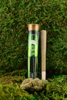 BananaConda | Pre-Roll | 1g