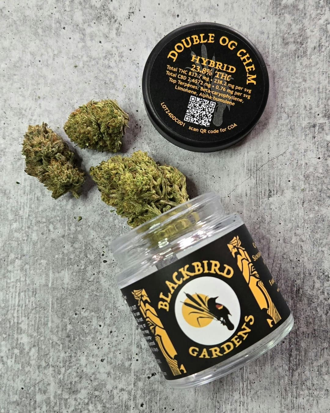Double OG Chem • Flower • 3.5g - Blackbird Gardens | Treehouse Cannabis