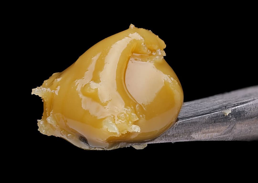 Honey Burst • Live Rosin Concentrate • 1g - Jaunty | Treehouse Cannabis