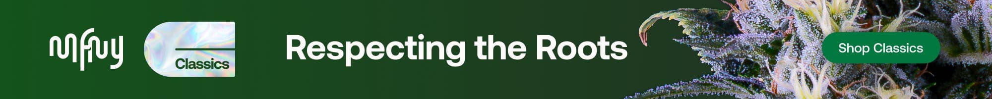 MFNY Classics: Built From the Roots of the Culture - Sales Banner