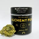 Blue Dream | Alchemy Pure | Flower |  3.5g