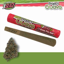Project Guava | Pre-roll | 1.1g