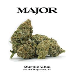 Purple Thai | Flower | 3.5g