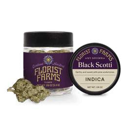 Black Scotti • Flower • 3.5g
