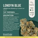 Londyn Blue | 14g