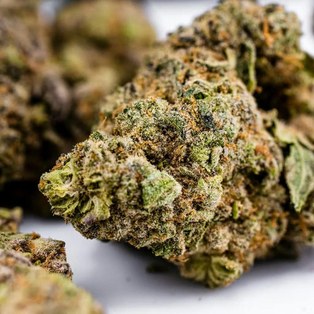 Northern Lights • Flower • 28g - Dank By Definition. | Treehouse Cannabis